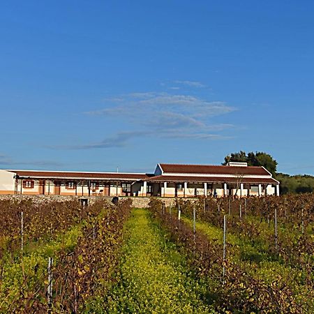 Turismo Rural Pedremoura Guest House Vila Ruiva  Bagian luar foto