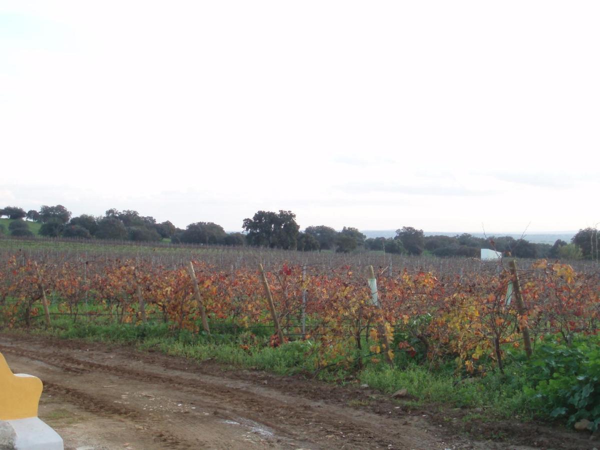 Turismo Rural Pedremoura Guest House Vila Ruiva  Bagian luar foto